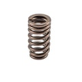 Valve Spring