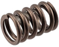Valve Spring