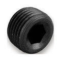 BLACK 1/2 NPT INTERNAL PLUG