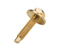 Body Bolt 1-1/8in 10pk Gold