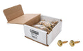 Body Bolt 1-1/8in 10pk Gold