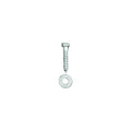 LAG BOLT W/ WASHER 3/8' X