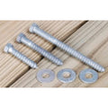 LAG BOLT W/ WASHER 3/8' X