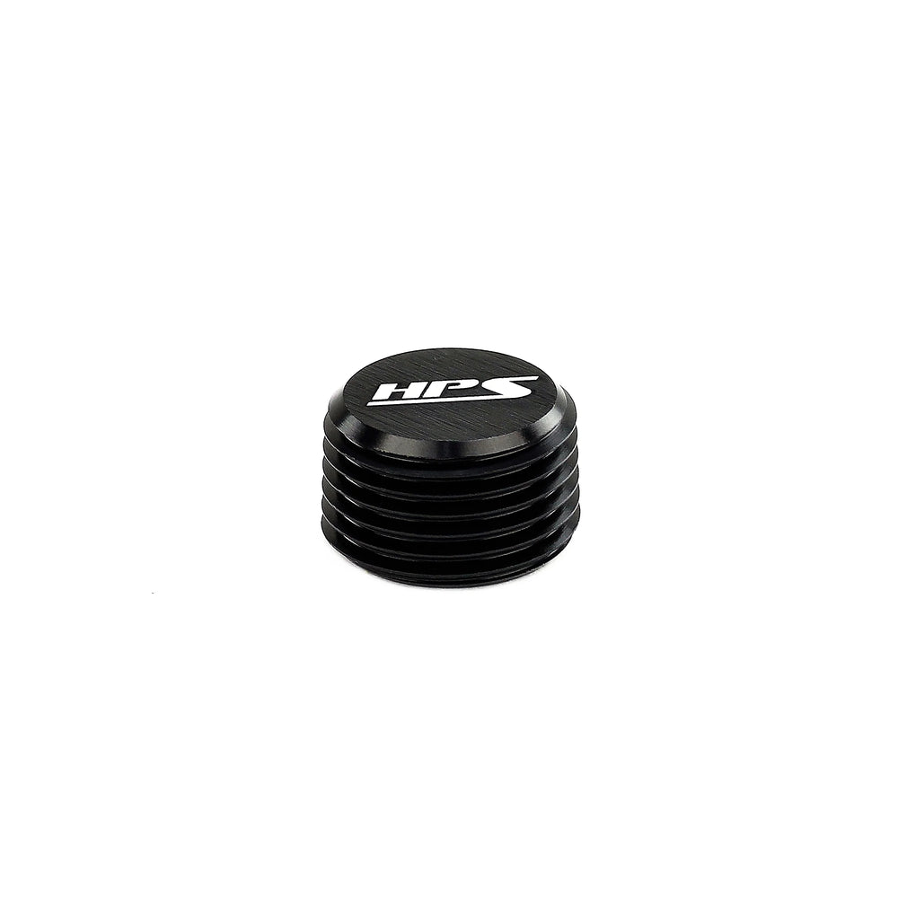 NPT Allen Plug