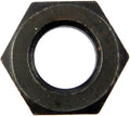 HEX NUT 5/16-24