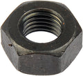 HEX NUT 5/16-24