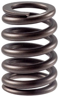 Valve Spring