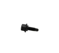 Bolt - Lifter Guide 6mm x 1.0 x 19.0mm