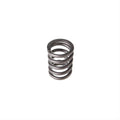 Valve Spring