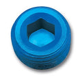 Russell Performance 1/4in Allen Socket Pipe Plug (Blue)