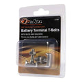 BOLT T-BOLT W/NUT & WASHER 2/CS EP