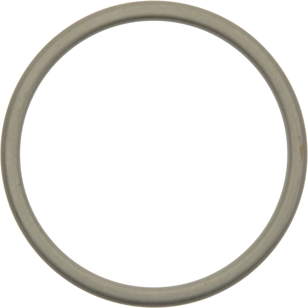 CATALYTIC CONVERTOR SEAL
