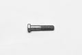 BOLT1/220x2.50 LGHHCSGR8320 SILVER