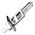 BULB H10/9145 12V 45W PY20D T4