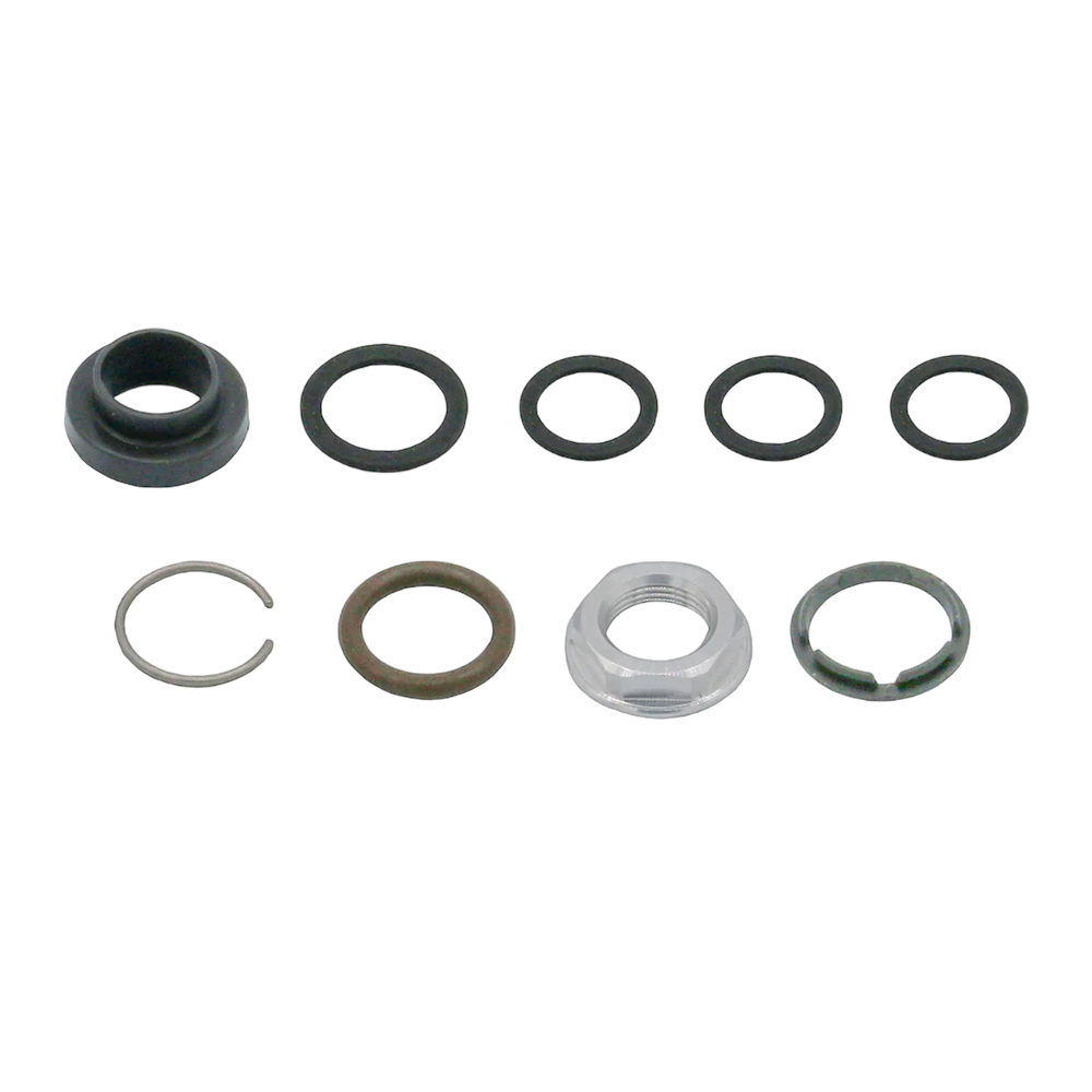ASSEMBLY FINISHED GOOD SERVICE KIT RPV CAP AND LANYARD STD.-XL (1 VALVE) Rebuild Kit