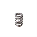 Valve Spring