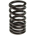 Valve Spring