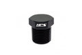 NPT Hex Plug
