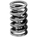 Manley SPRING-SBC 1.250 EA
