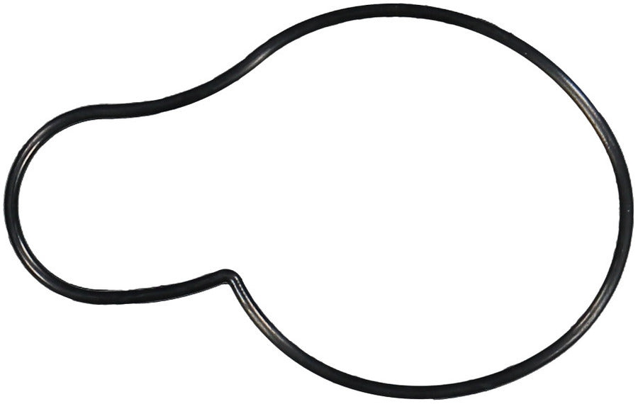 Engine Water Pump Gasket - 71-13912-00