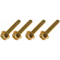 Flange: Cap Screw Flange; M6-1.0 X 30