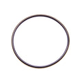 CT1 Seal O-Ring for Seal Plate
