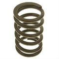 Valve Spring