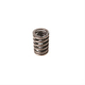Valve Spring