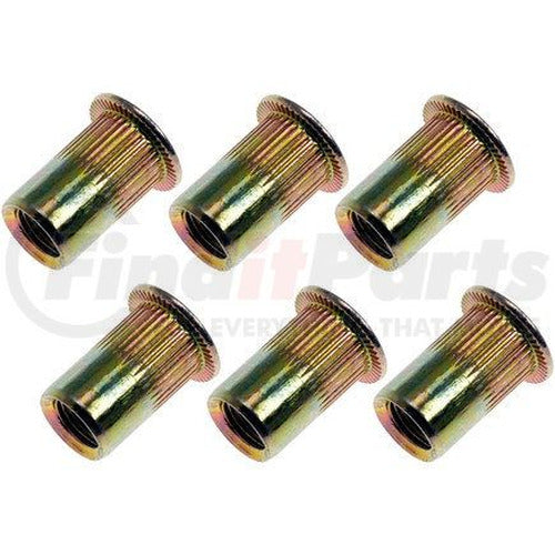 RIVET NUT - 1/4-20