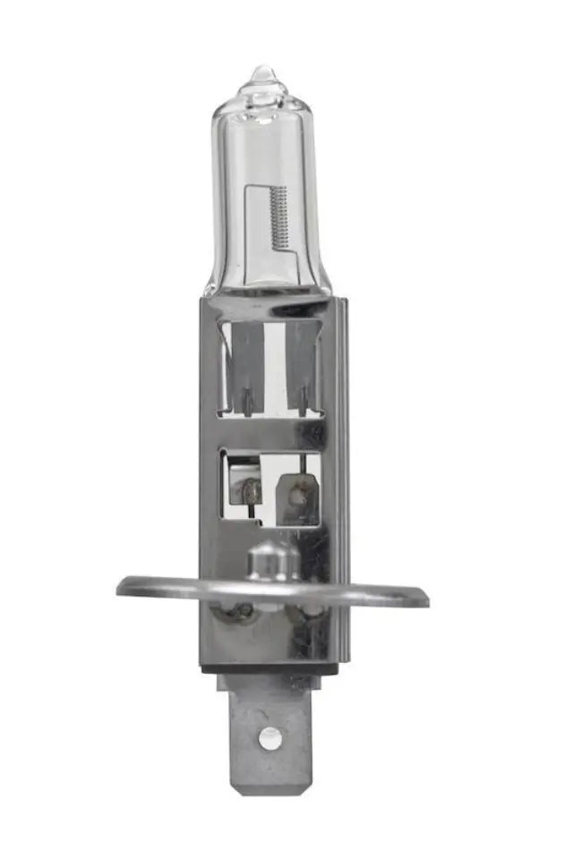 BULB H1 12V 100W P14.5S T2.5 (2)