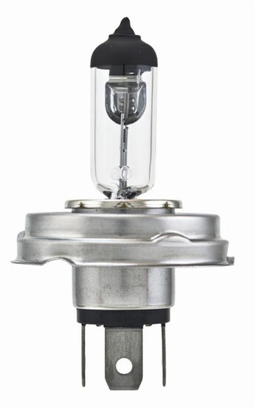 BULB H4 12V 60/55W P45T T4.625 (2)