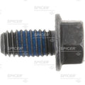 DIFFERENTIAL COVER BOLT