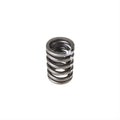 Valve Spring