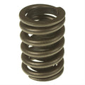 Valve Spring