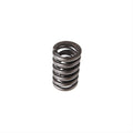 Valve Spring