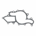 Engine Water Pump Gasket - 71-14701-00