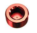01 (1/16) NPT HEX HEAD PIPE PLUG RED 2/PKG