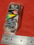 Flange: Cap Screw Flange; M6-1.0 X 20