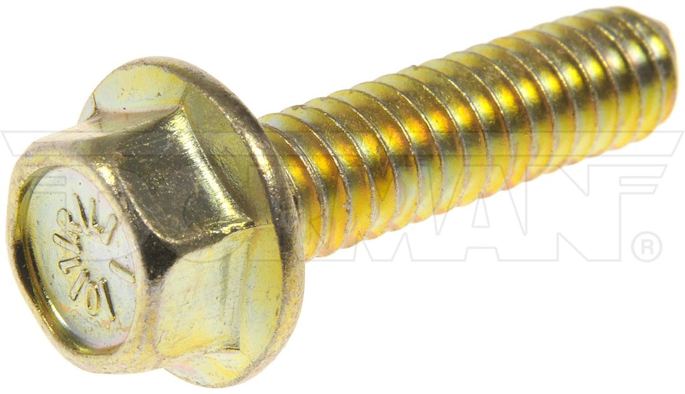 CAP SCRWS 1/4-20X1