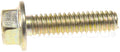 CAP SCRWS 1/4-20X1