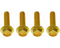 Flange: Cap Screw Flange; M6-1.50 X 40