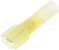 TERM FI QD WP 12-10 M