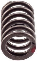 Valve Spring