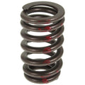 Valve Spring