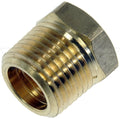 BRASS TUBE NUT - 1/4 IN. FNPT X 3/8