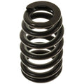 Valve Spring
