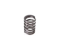 Valve Spring