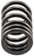 Valve Spring