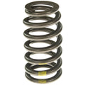 Valve Spring