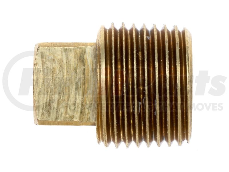 Gates 8MPB-PLUG SQ HEAD
